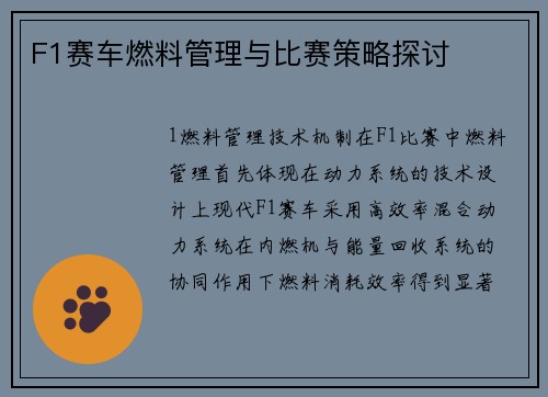 F1赛车燃料管理与比赛策略探讨